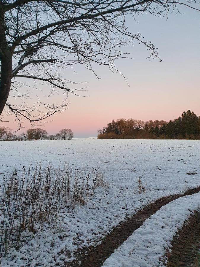 Edelsminde Bed & Breakfast Haslev Exterior foto