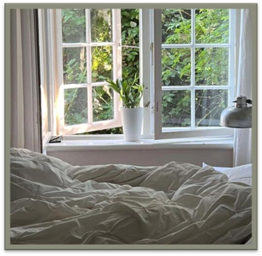 Edelsminde Bed & Breakfast Haslev Exterior foto